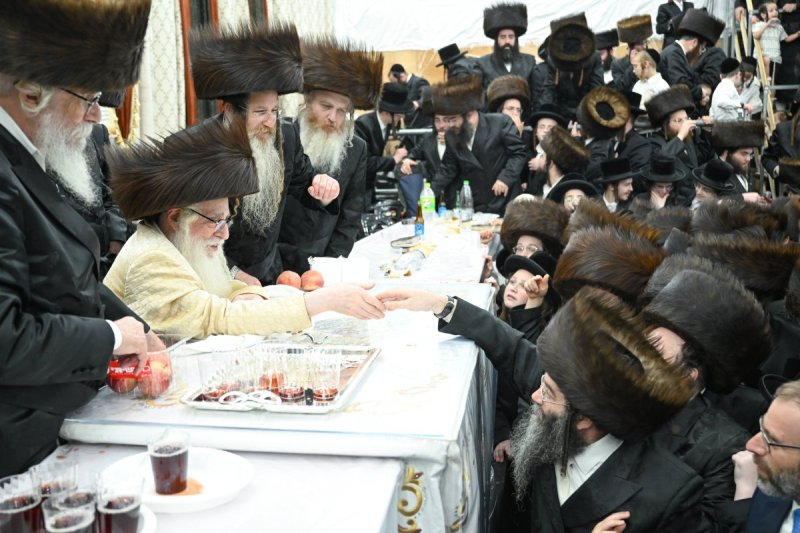 משה גולדשטיין