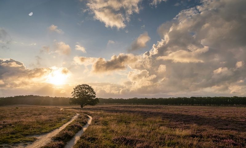 אל תפתחו חלונות: האובך והרוחות החזקות בשיאם - מתי יגיע הגשם?