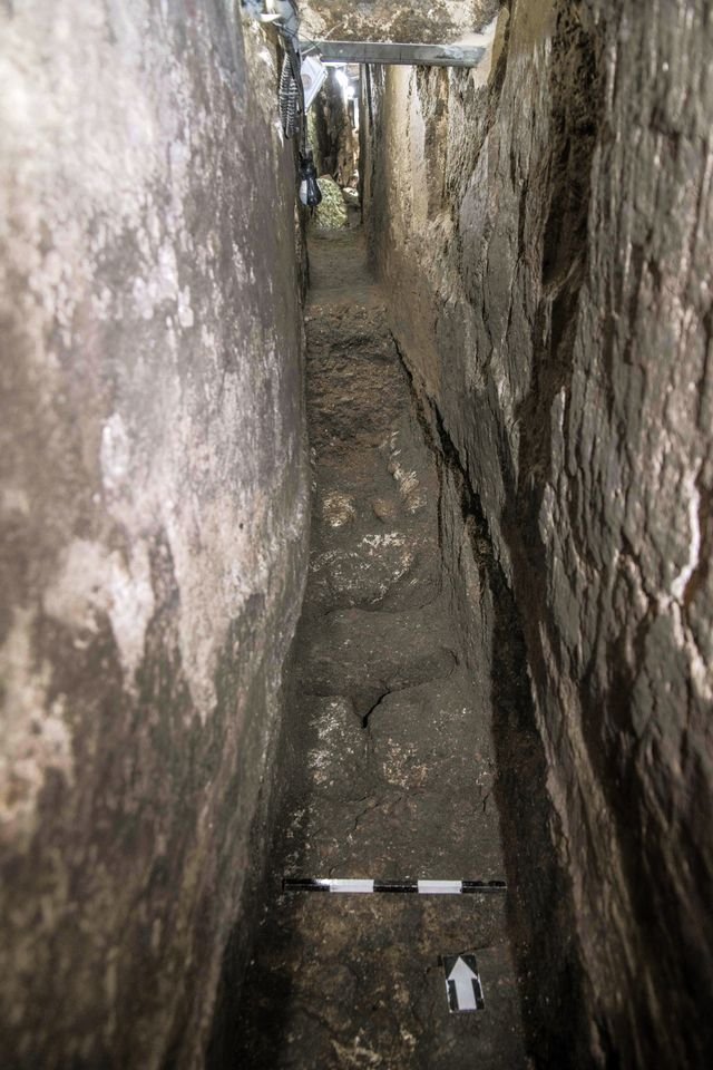 שי הלוי רשות העתיקות