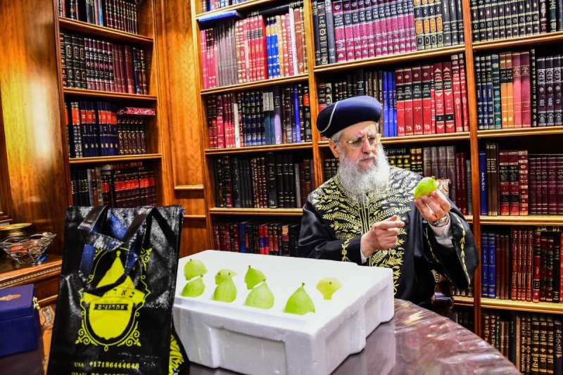 שוקי לרר