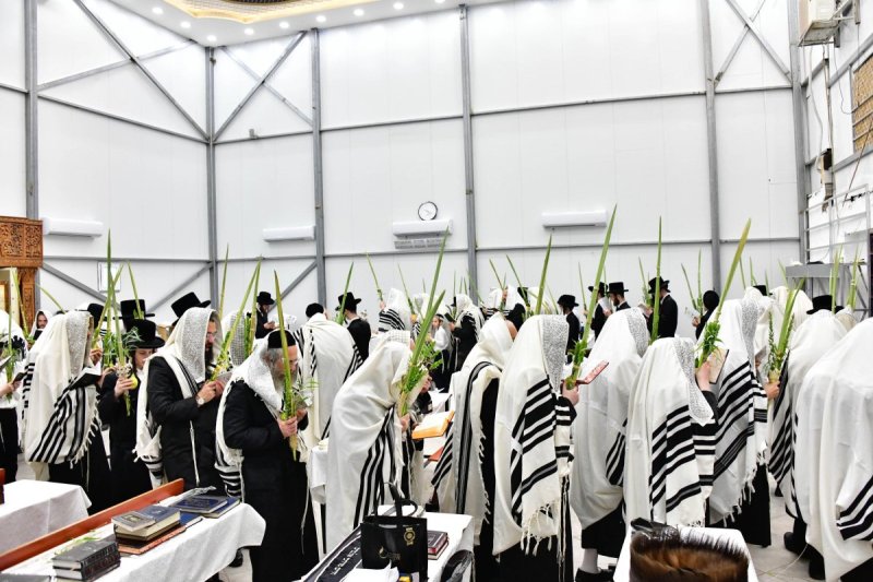 שוקי לרר