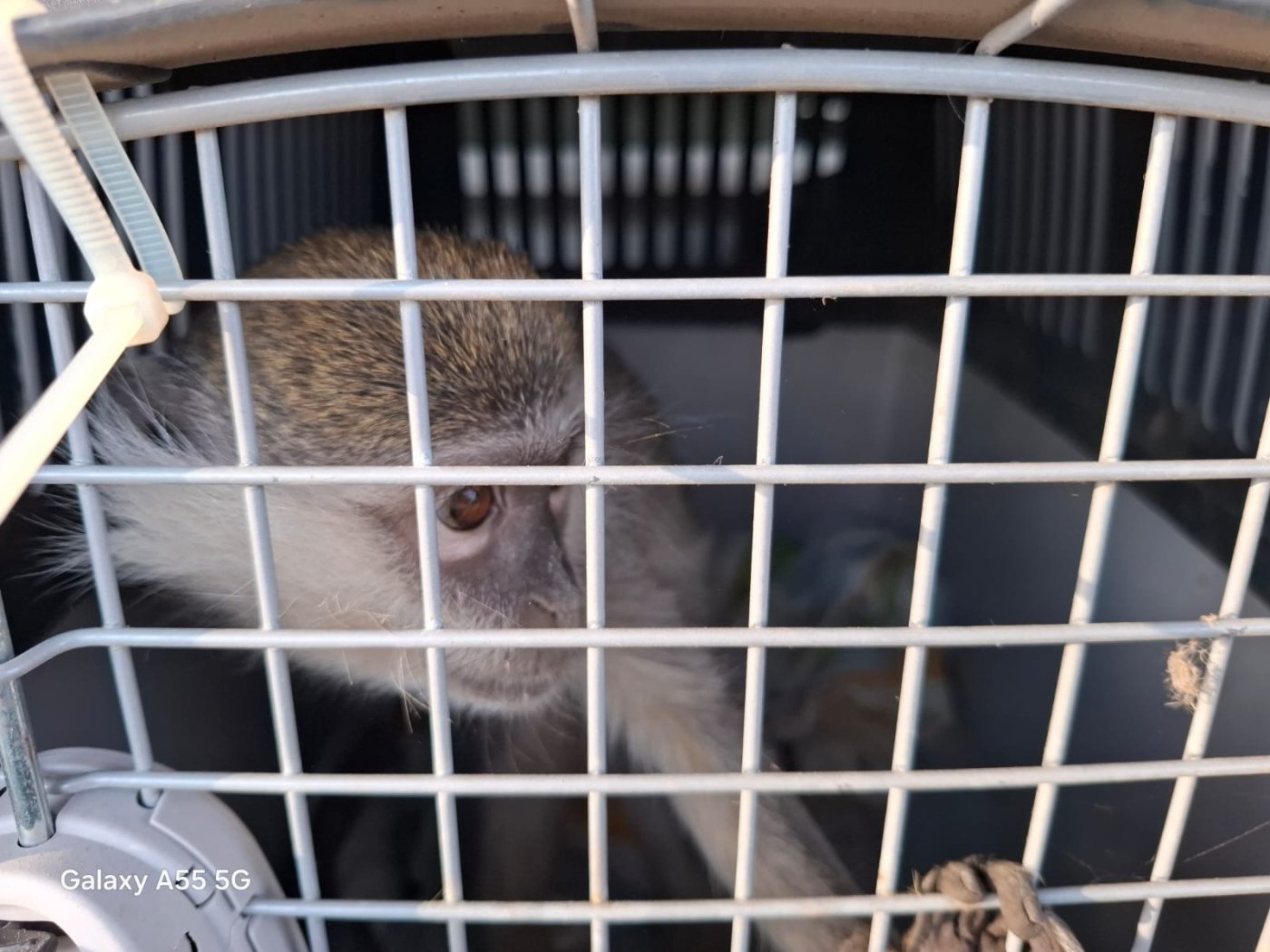 רשות הטבע והגנים