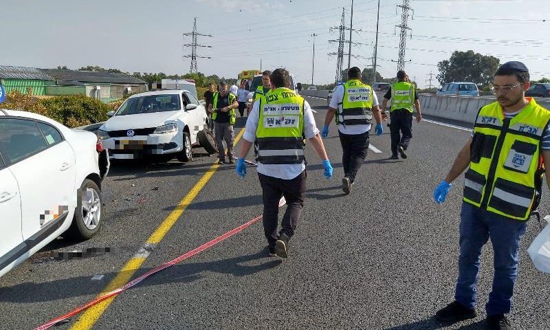 לא תאמינו: כמה נהרגו בשנה האחרונה מתאונות פגע וברח?