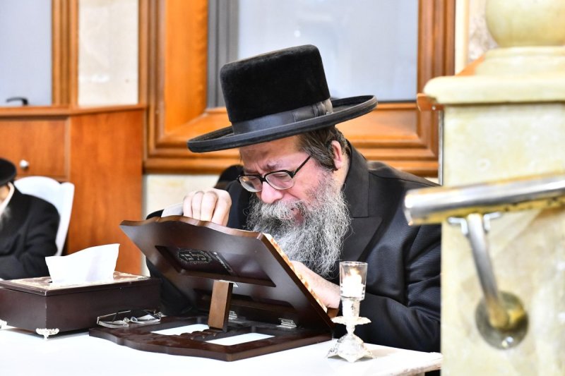 שוקי לרר