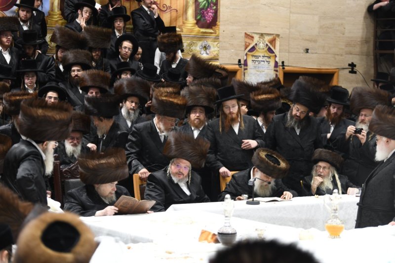 אנשיל בעק וא.מ.ש