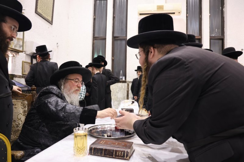 נתי אמרגי