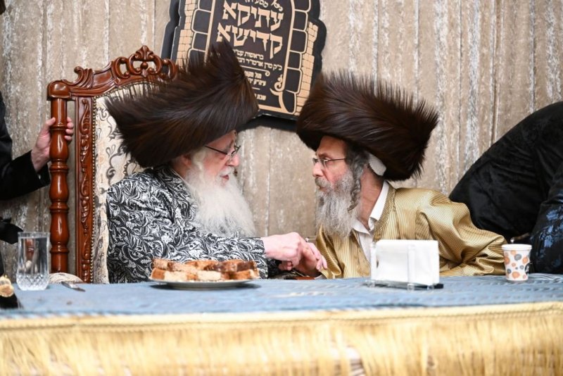 משה גולדשטיין