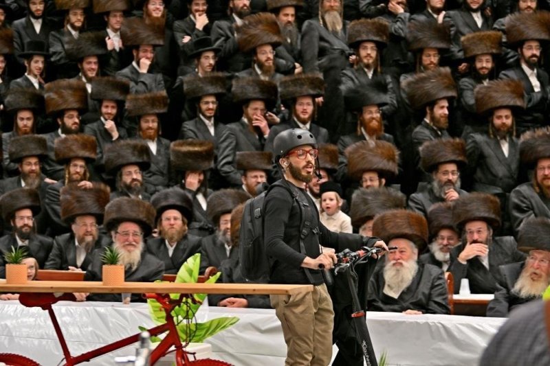 יהושע פרוכטר