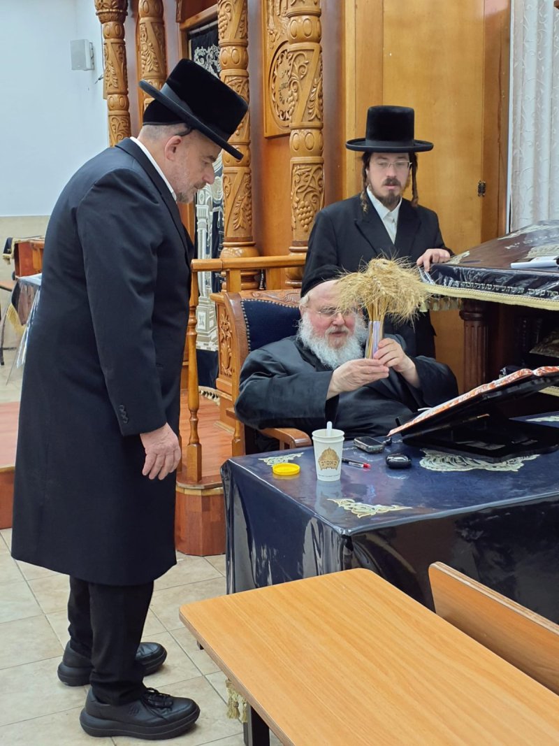 שוקי לרר