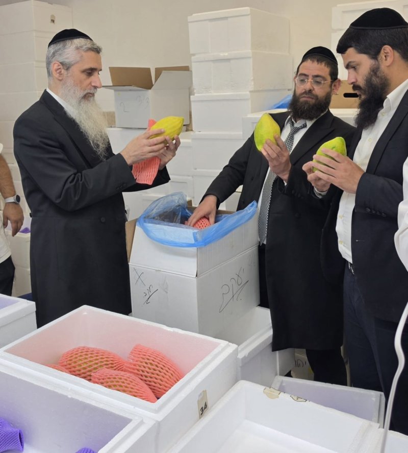 באדיבות המצלם