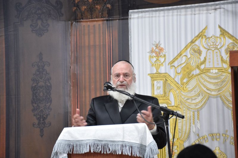 יהודה פרקוביץ