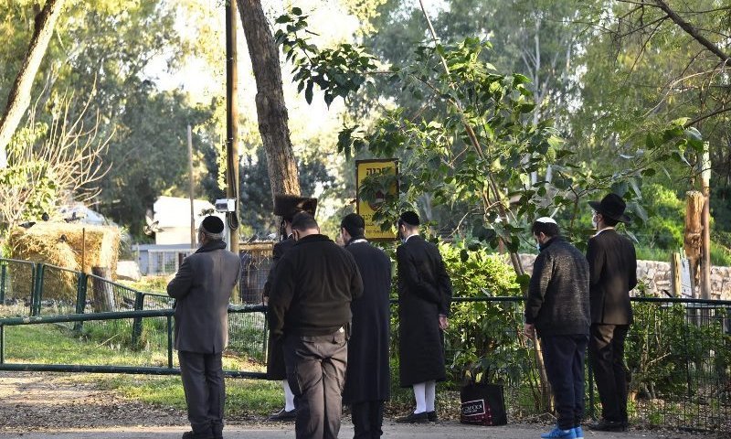 הדיל שישנה את גוש דן: ספארי חדש, שכונת AI וסוף לסיוט התחבורתי