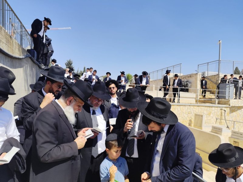 באדיבות המצלם