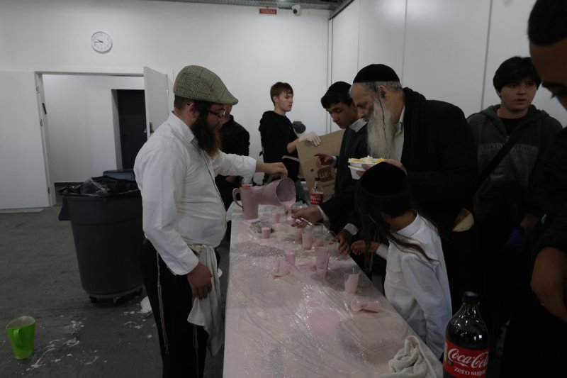יהודה וויס