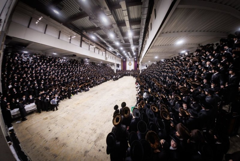 יוסי גולדברגר