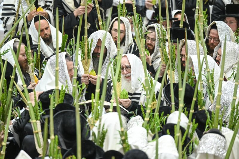 משה גולדשטיין
