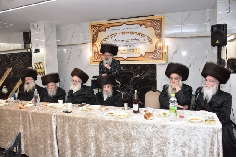 יהודה פרקוביץ