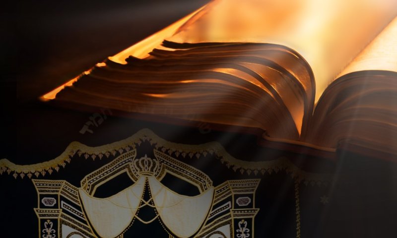 "הטעות המזעזעת של הפסל מיכלאנג'לו": מה הבינו הילדים במסיבת החומש שגדולי האמנים בעולם לא מצליחים להבין?