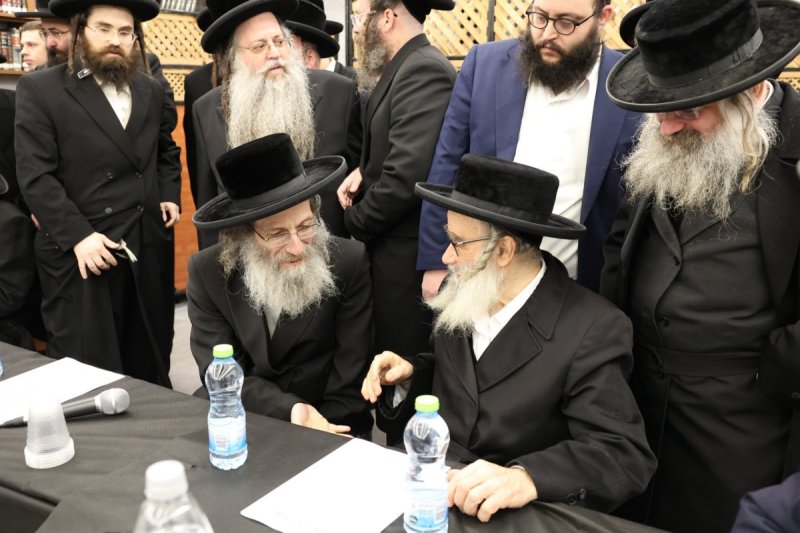 קובי הר צבי