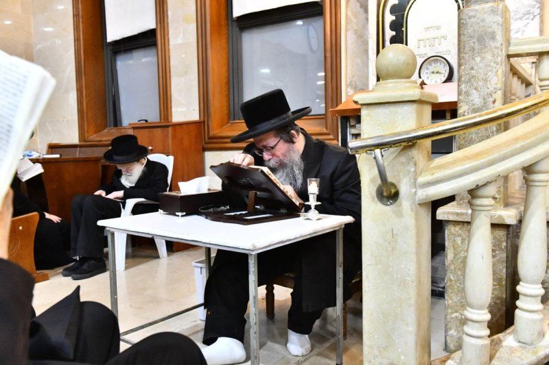 שוקי לרר