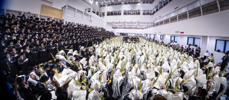 האחים לאנטשעווסקי ואייזיק ג.