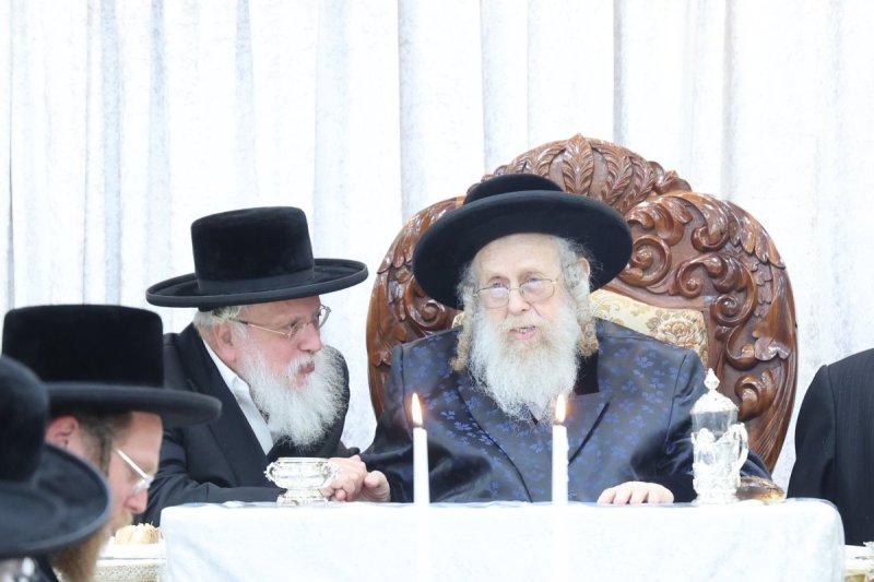 שלומי טריכטר