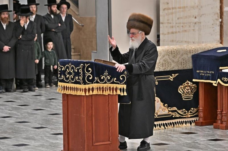 יהושע פרוכטר