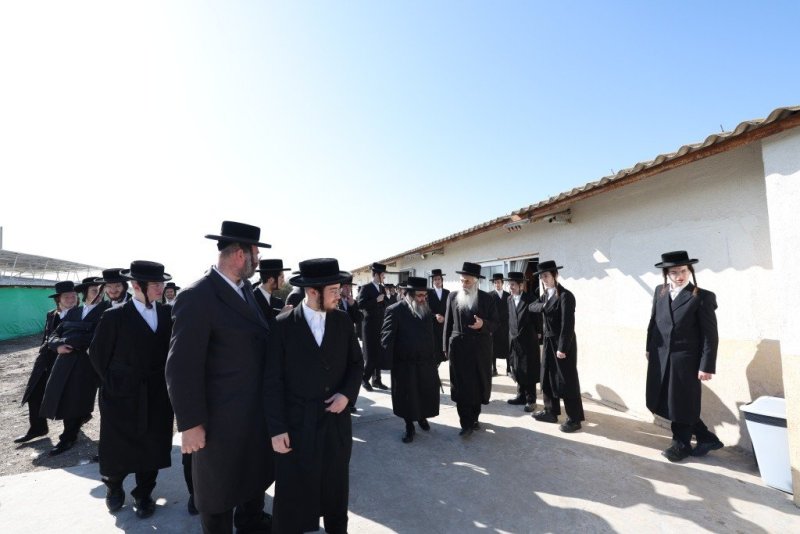 א. אייזנבאך