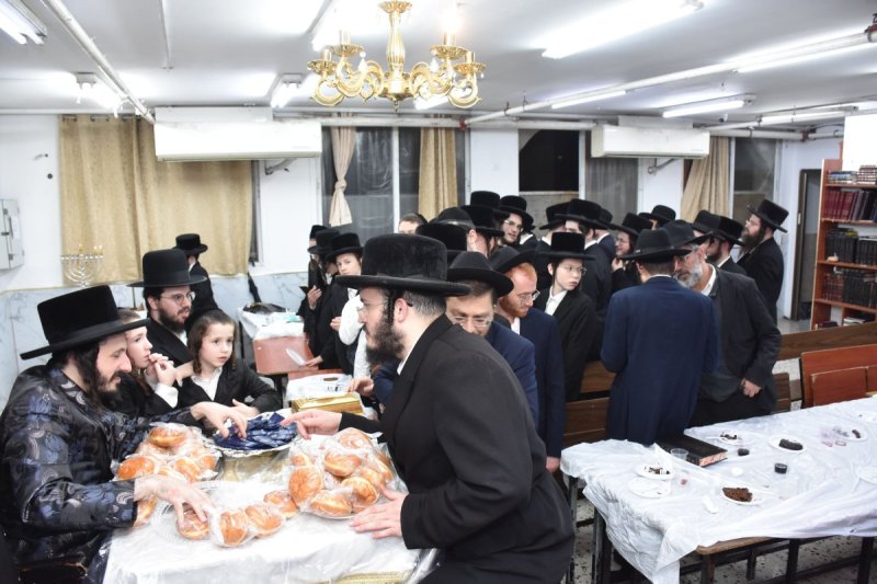 יהודה פרקוביץ