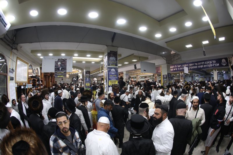 יהודה וויס