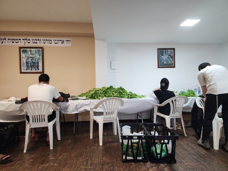 בית חב"ד פרו