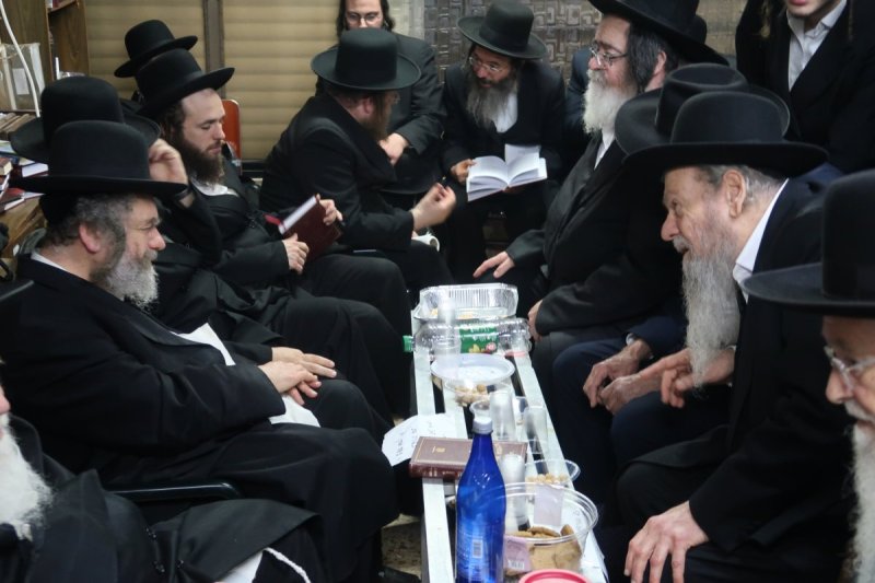 שימי פ.