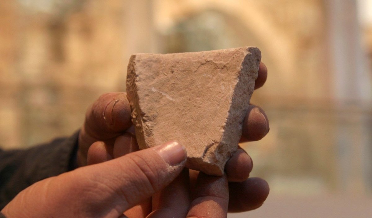 אמיל אלג'ם, רשות העתיקות