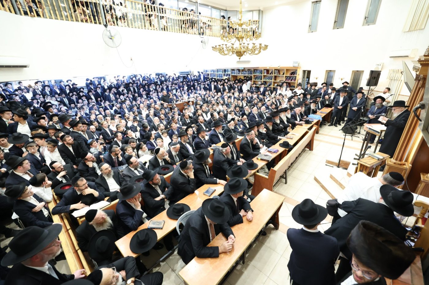 קובי הר צבי