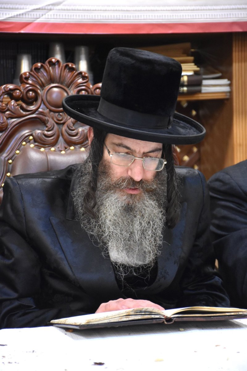 יהודה פרקוביץ