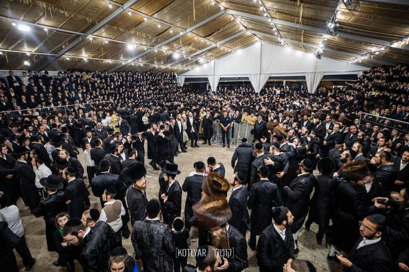 מענדי קוטלר