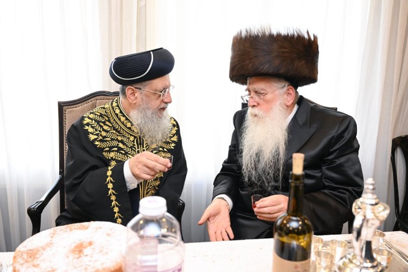 משה גולדשטיין דוד ארזני