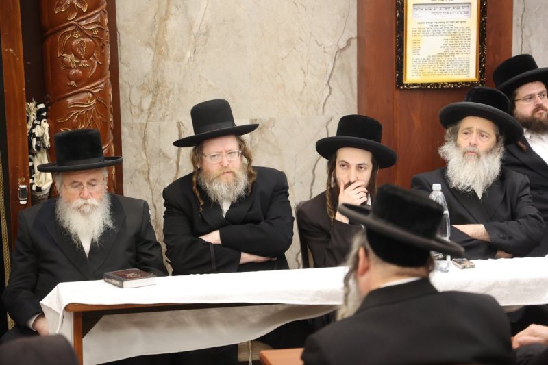 שלומי טריכטר