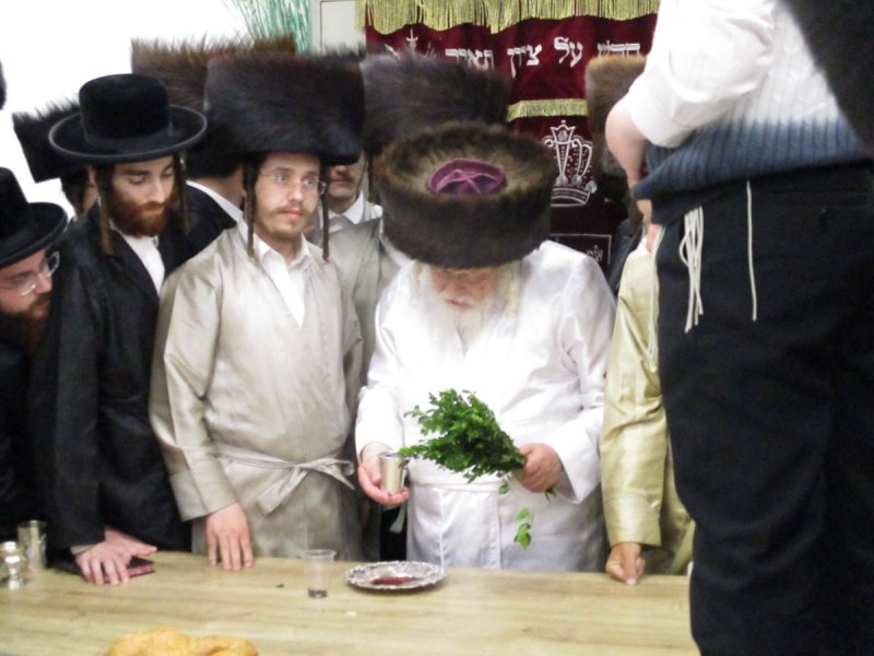באדיבות המצלם