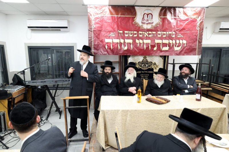 קובי הר צבי