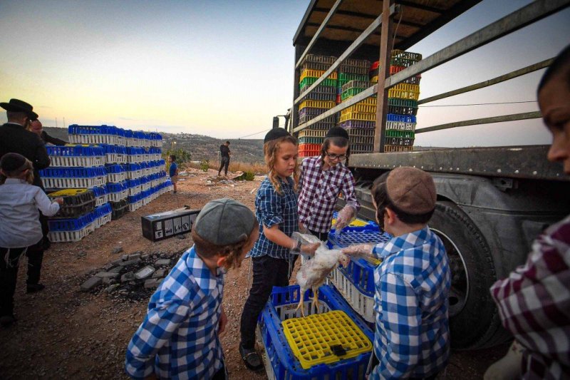 ארי קופרשטוק