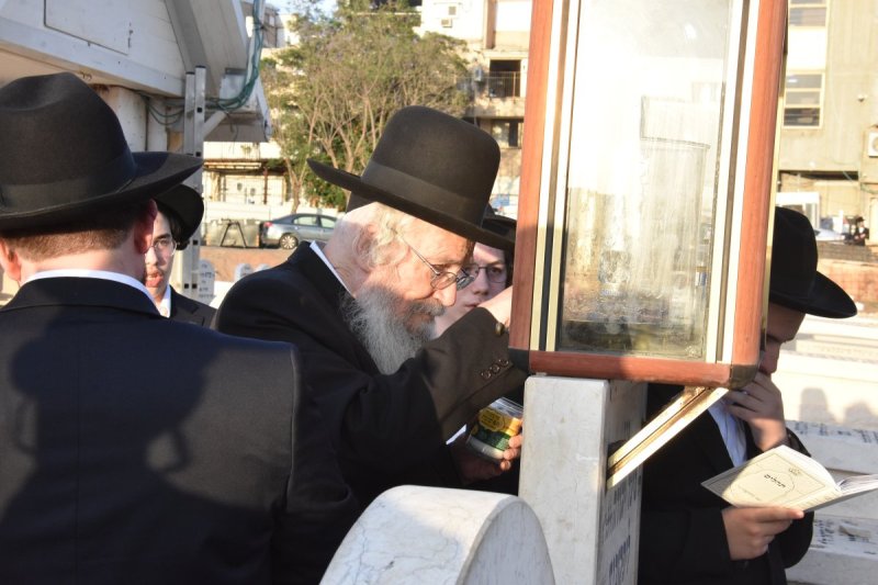 יהודה פרקוביץ