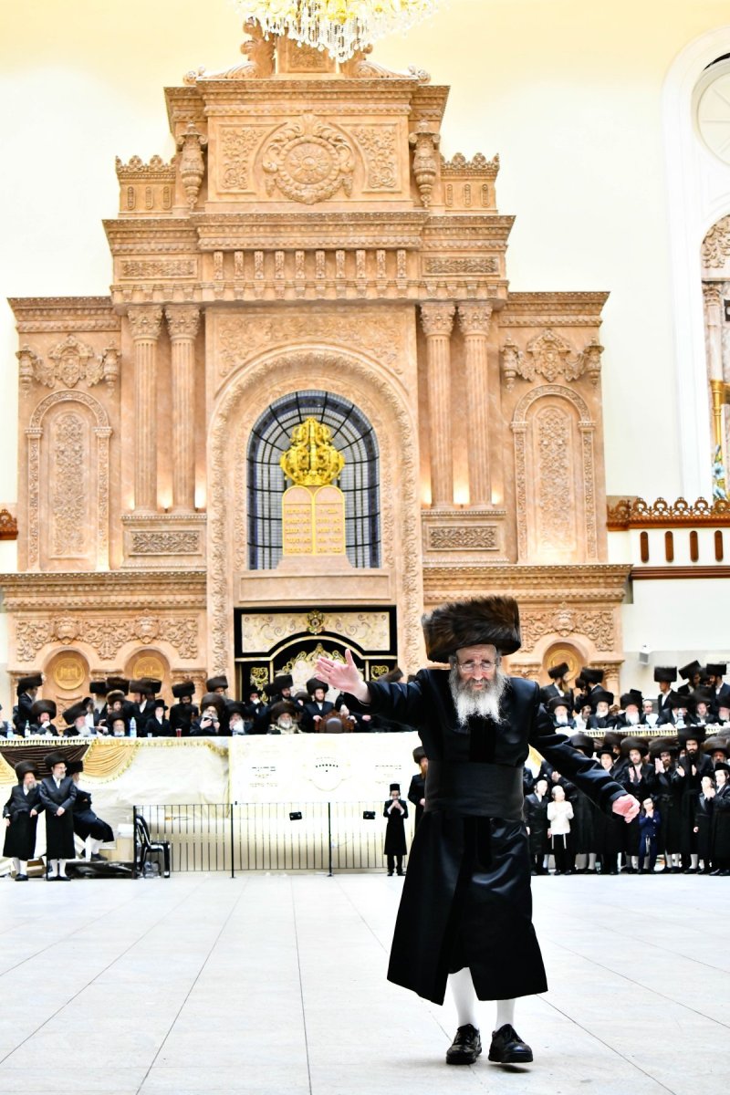 שוקי לרר