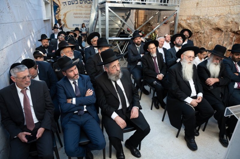 שמואל אריה
