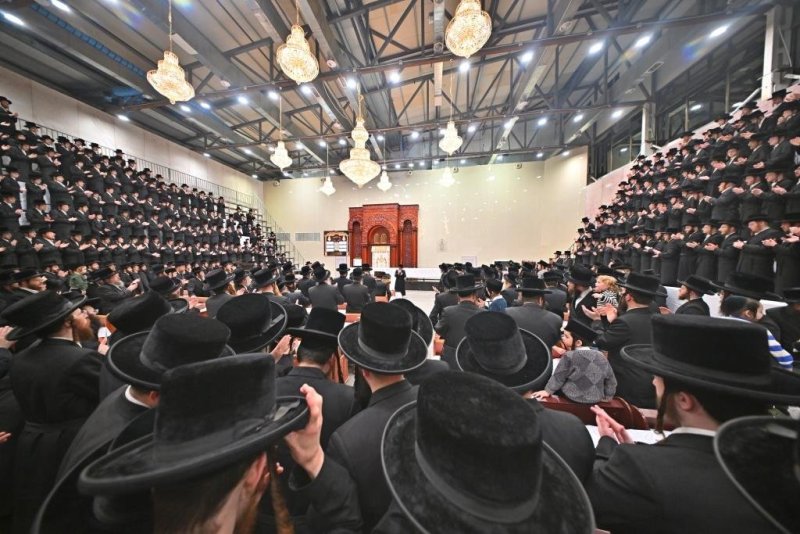 יהושע פרוכטר