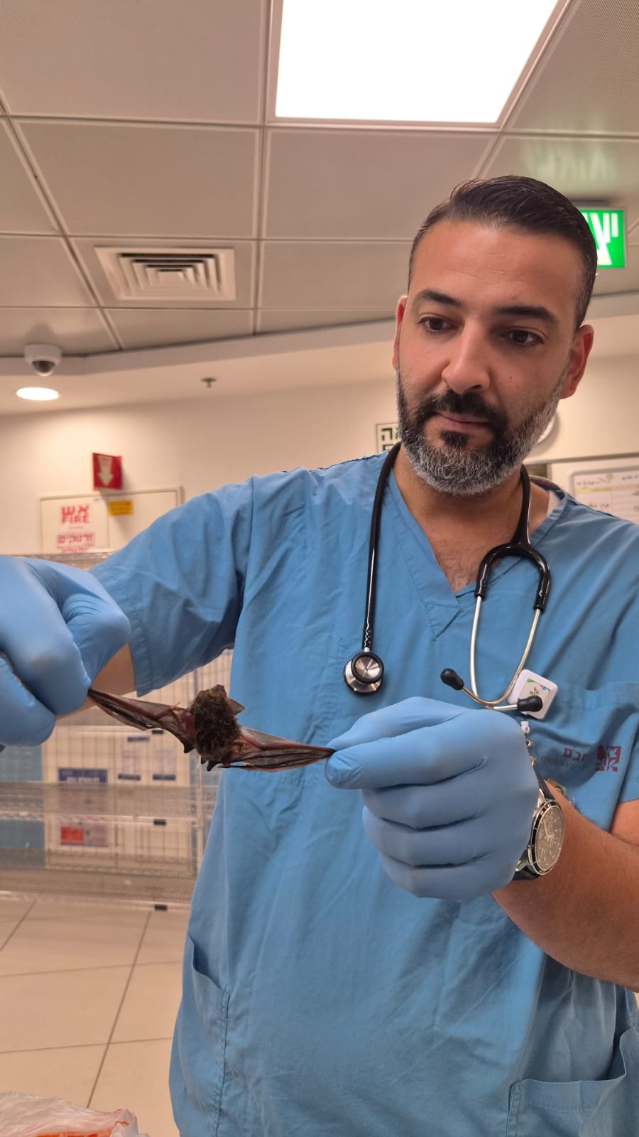 הקריה הרפואית רמב"ם