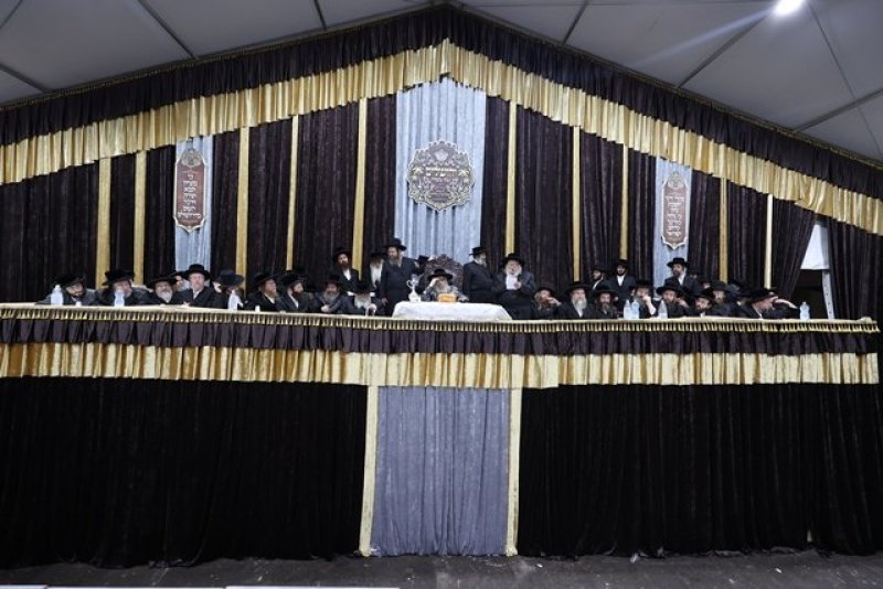 א. אייזנבאך ודוד ארזני