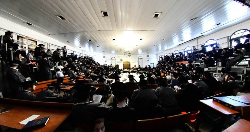 שוקי לרר