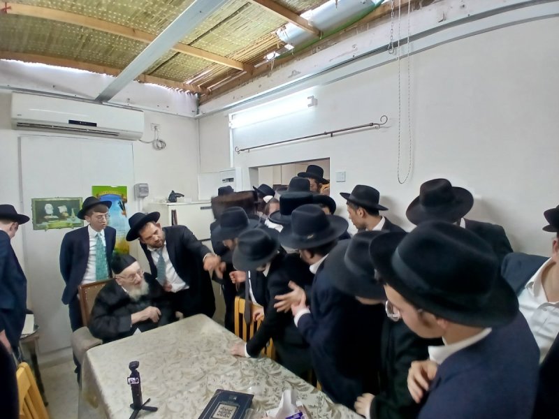 שוקי לרר