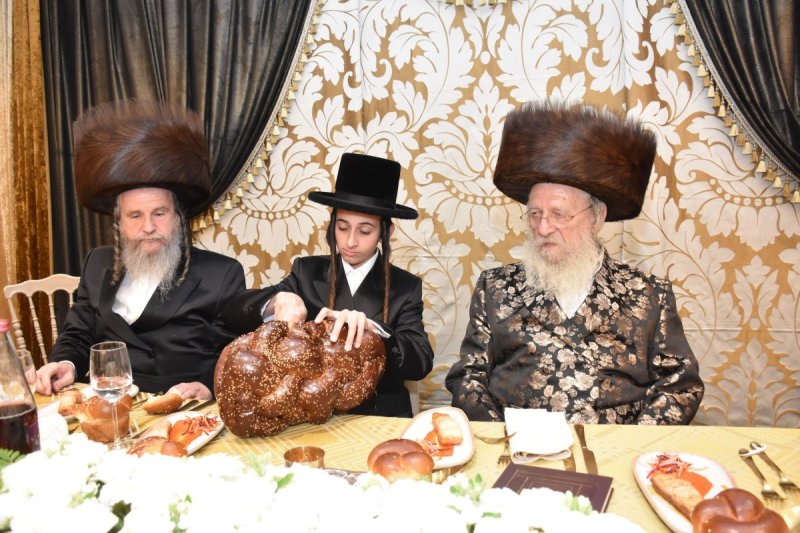 יהודה פרקוביץ